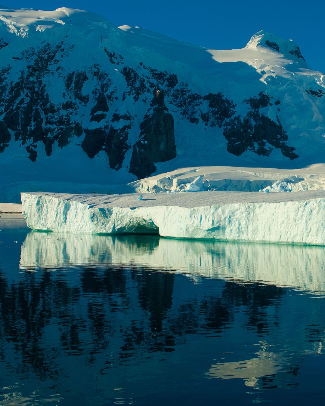 Antratica continent website