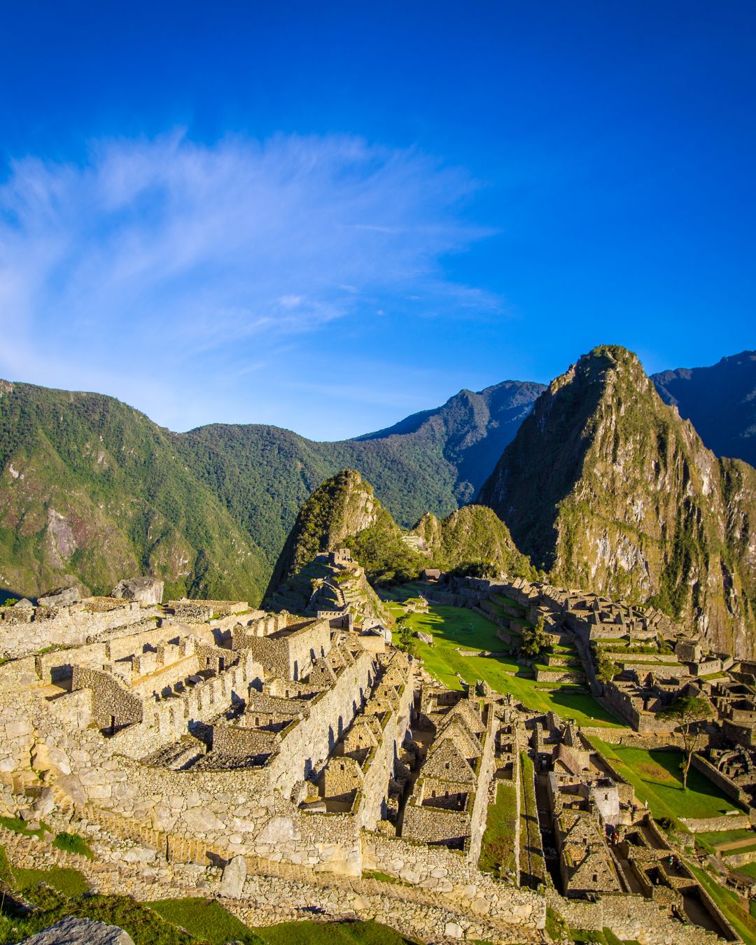 south america website