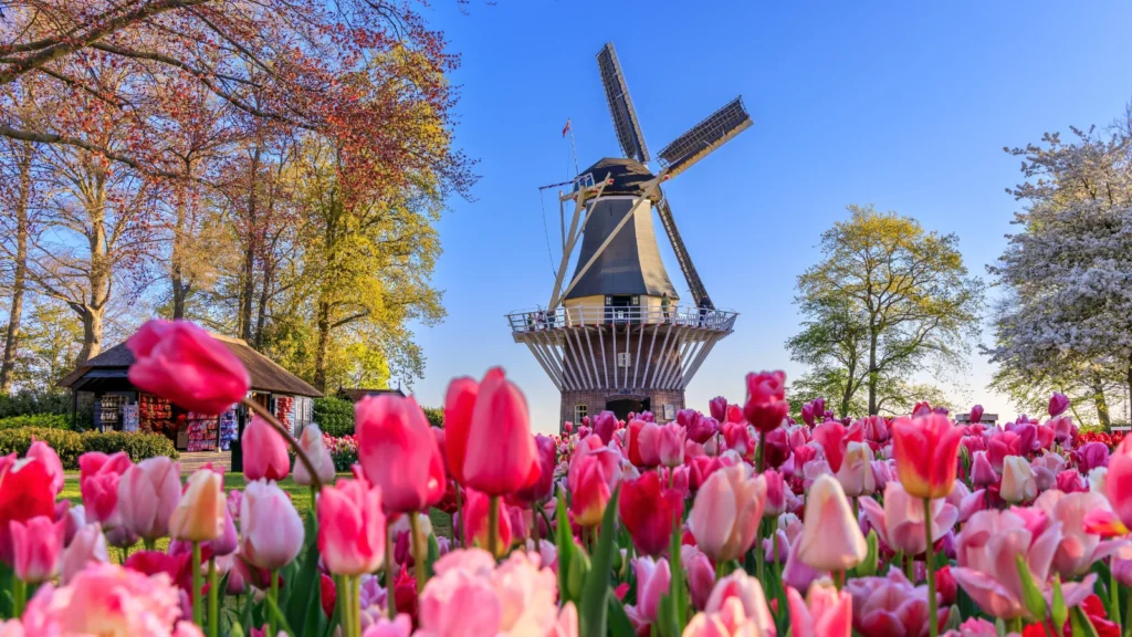 Dutch-Belgian Discovery – 8 Nights / 9 Days
