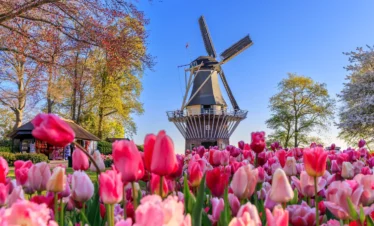 Dutch-Belgian Discovery – 8 Nights / 9 Days