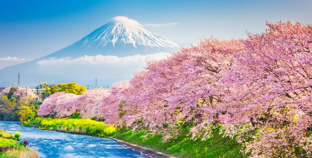 Mystic Japan Journey – 9 Nights / 10 Days