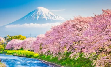 Mystic Japan Journey – 9 Nights / 10 Days