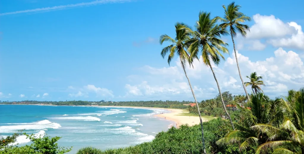 South Sri Lanka Luxury Beachfront Escape – 7 Nights / 8 Days