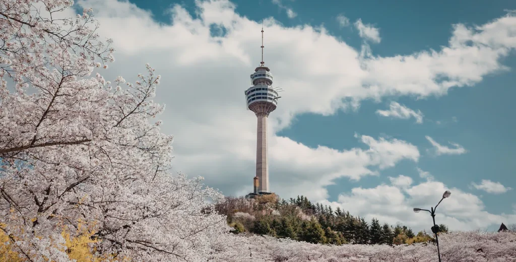 Seoul Discovery: Culture, Cityscapes & K-Style – 4 Nights / 5 Days