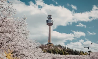 Seoul Discovery: Culture, Cityscapes & K-Style – 4 Nights / 5 Days