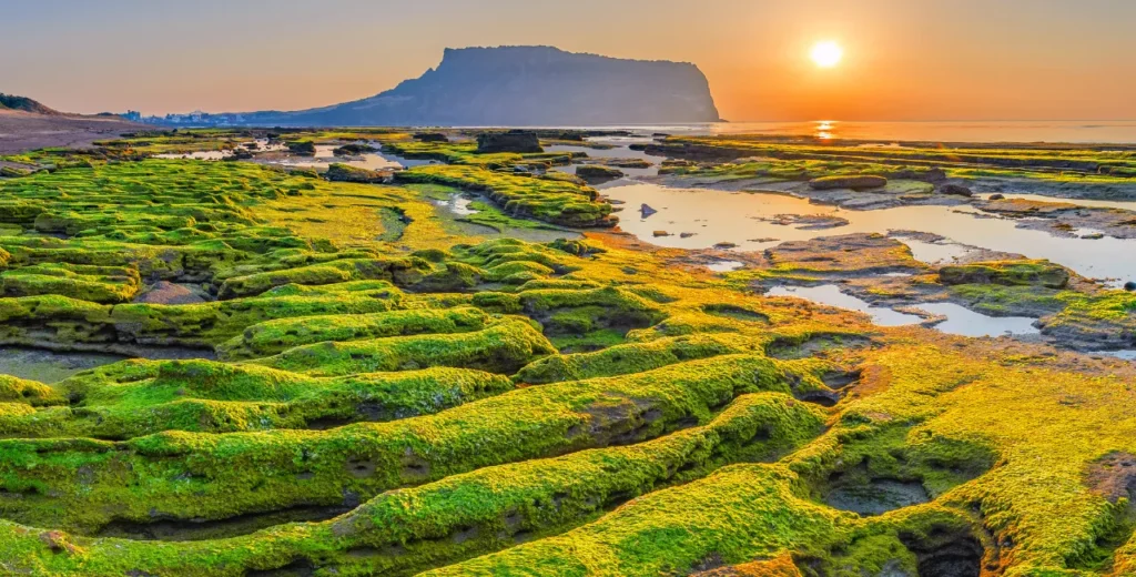 Jeju – Seoul Autumn Wonders - 11 Nights / 12 Days 