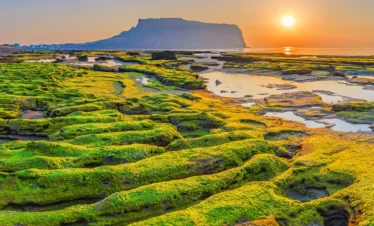 Jeju – Seoul Autumn Wonders - 11 Nights / 12 Days 