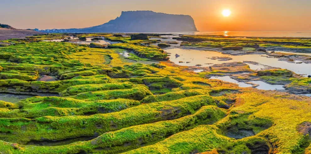 Jeju – Seoul Autumn Wonders - 11 Nights / 12 Days 